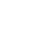positive-vote-white.png