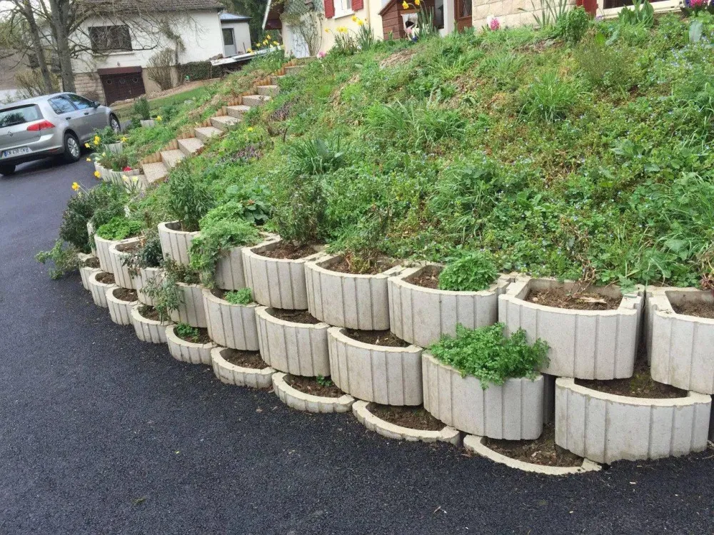 muret végétation